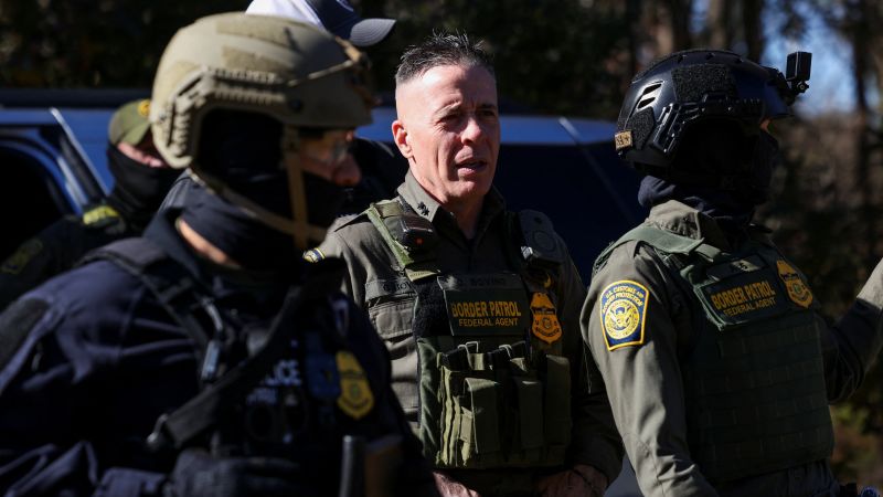 Border Patrol Finally Leaves Charlotte, Area’s 3 Cows Breathe Sigh of Relief