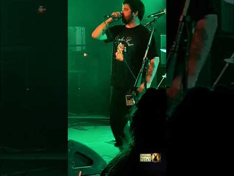 Corpse Pile in Charlotte, NC (11/23/2025)