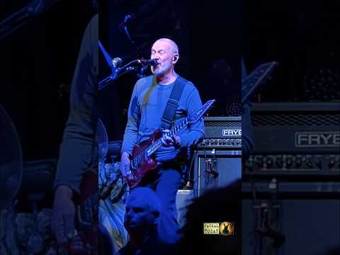 Helmet in Greensboro, NC (11/12/2025)