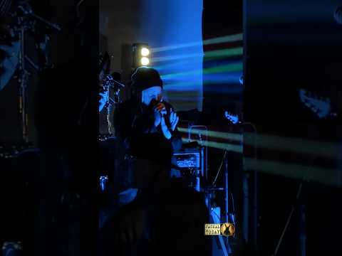 Mafia in Gastonia, NC (11/11/2025)