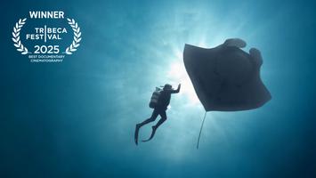The Last Dive: Prepare to Snore and Grill the Director