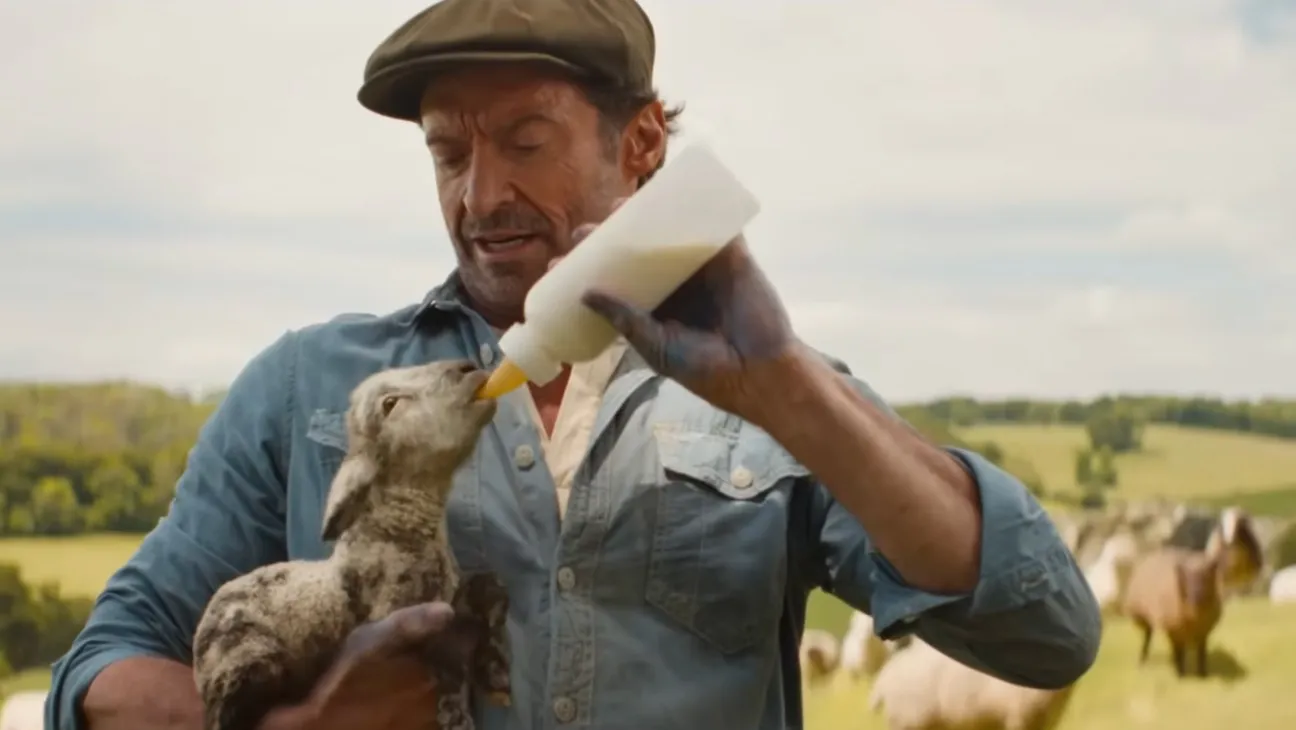 Hugh Jackman trades claws for wool in The Sheep Detectives – baaah humbug!
