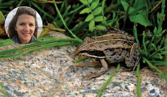 I Love a Rainy Night: Frogs’ Rhythm Proves They’re the Only Ones Who Like This Weather