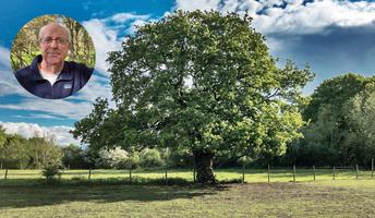 Why We Need Oaks and How to Save Them with Doug Tallamy