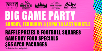 SUPER BOWL SHINDIG: WHERE CHIPS MEET DIP AND FRIENDSHIP TAKES A HIKE