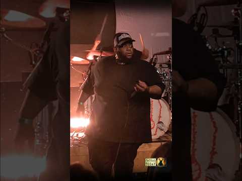 Filth in Gastonia, NC (03/14/2026)