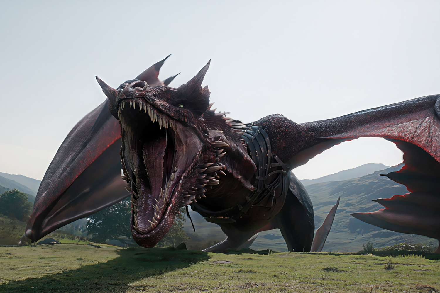 House Of The Dragon Season 3 Trailer Is So Lit It Will Probably Burn Down Your House