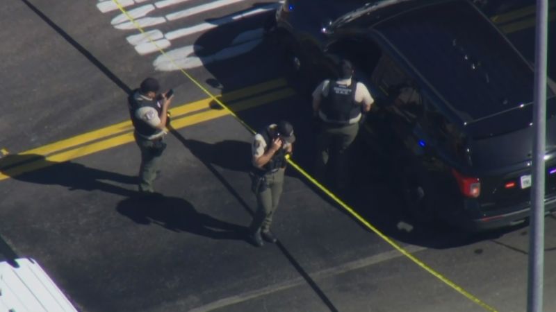Fake news bs about brave ICE agents doing their job perfectly