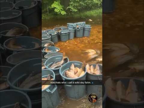 Teach a man to fish, and he will be able to feed himself for a lifetime