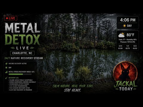 🌿 Pond Cam for Metalheads | Nature Recovery Stream 24/7