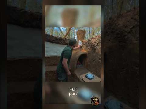 If you discover a large stump in the forest with a hole in the middle….