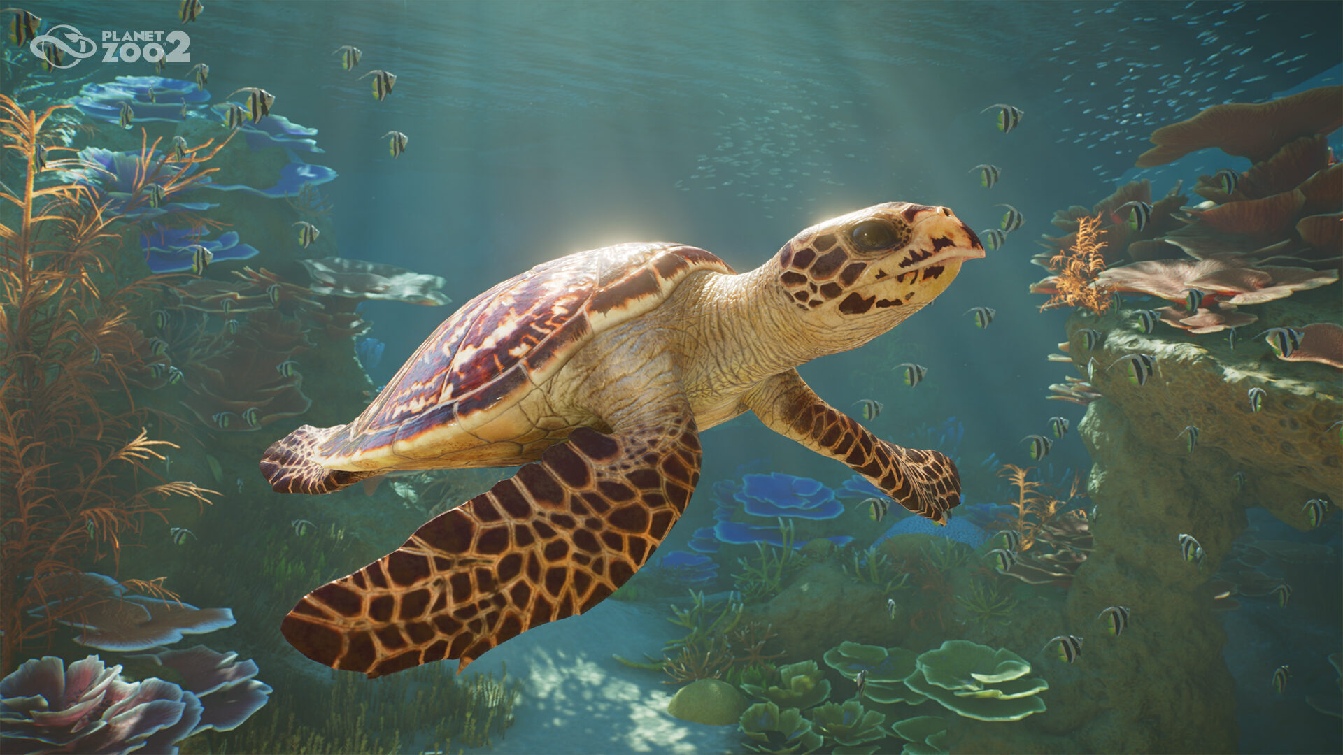 Planet Zoo 2 Announced Because You Clearly Didn’t Spend Enough Money on the First One and Now We’re Adding Fish and Birds to Take More of Your Cash
