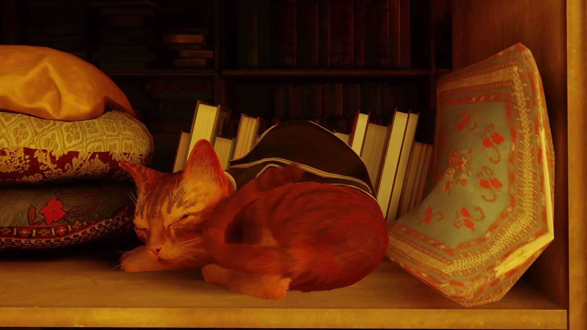 Stray Finally Decides To Bless The Nintendo Switch 2 With Its Purrfect Presence Today