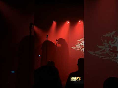 Wraith Knight in Raleigh, NC (05/01/2026)