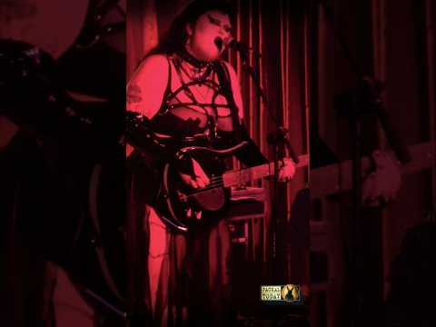 Mostly Mesh in Charlotte, NC (06/16/2026)