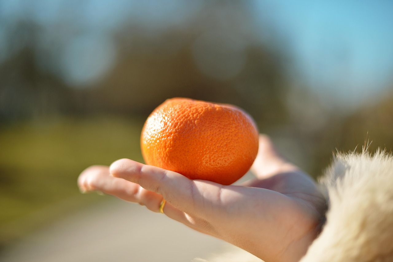 ORANGE ORACLE UPDATE Donald Trump posts on Truth Social on June 25 2026