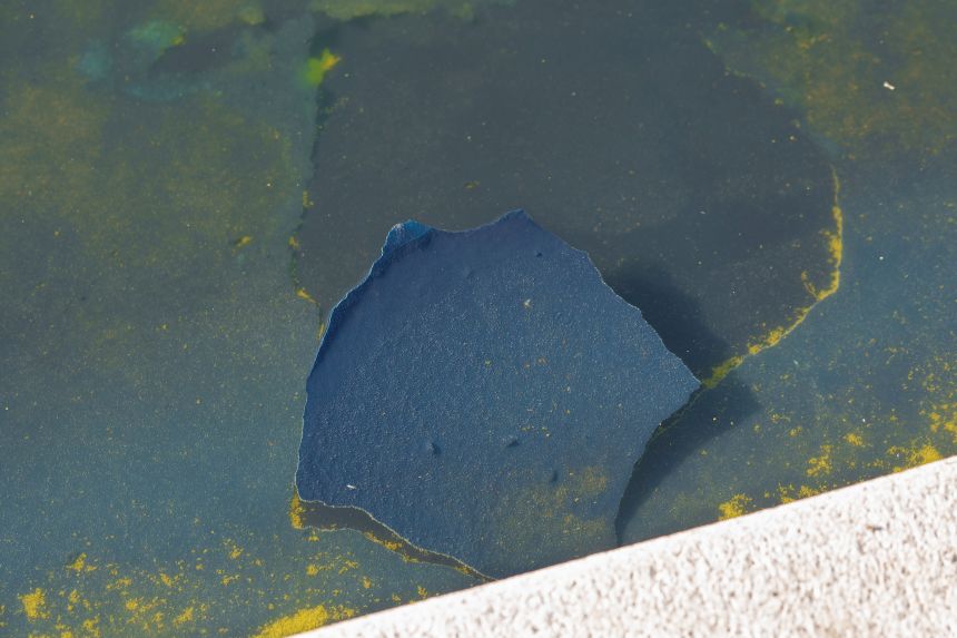 Trump vows to punish scum who trashed our great nation’s pool