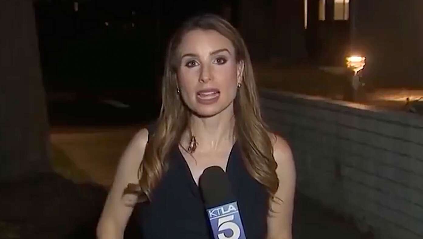 Cockroach Maintains Composure Despite Making Contact With Journalist