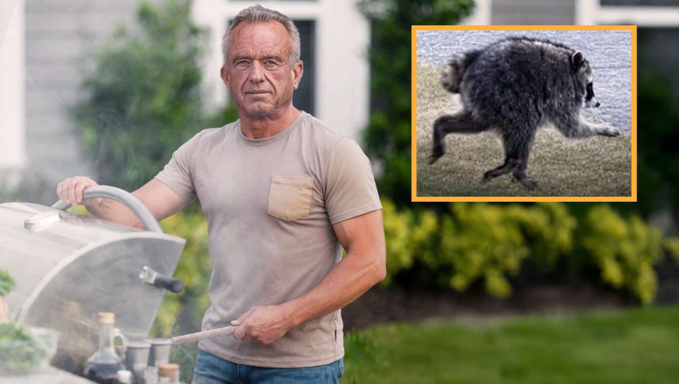 Oh No! RFK Jr. Eats Jimothy