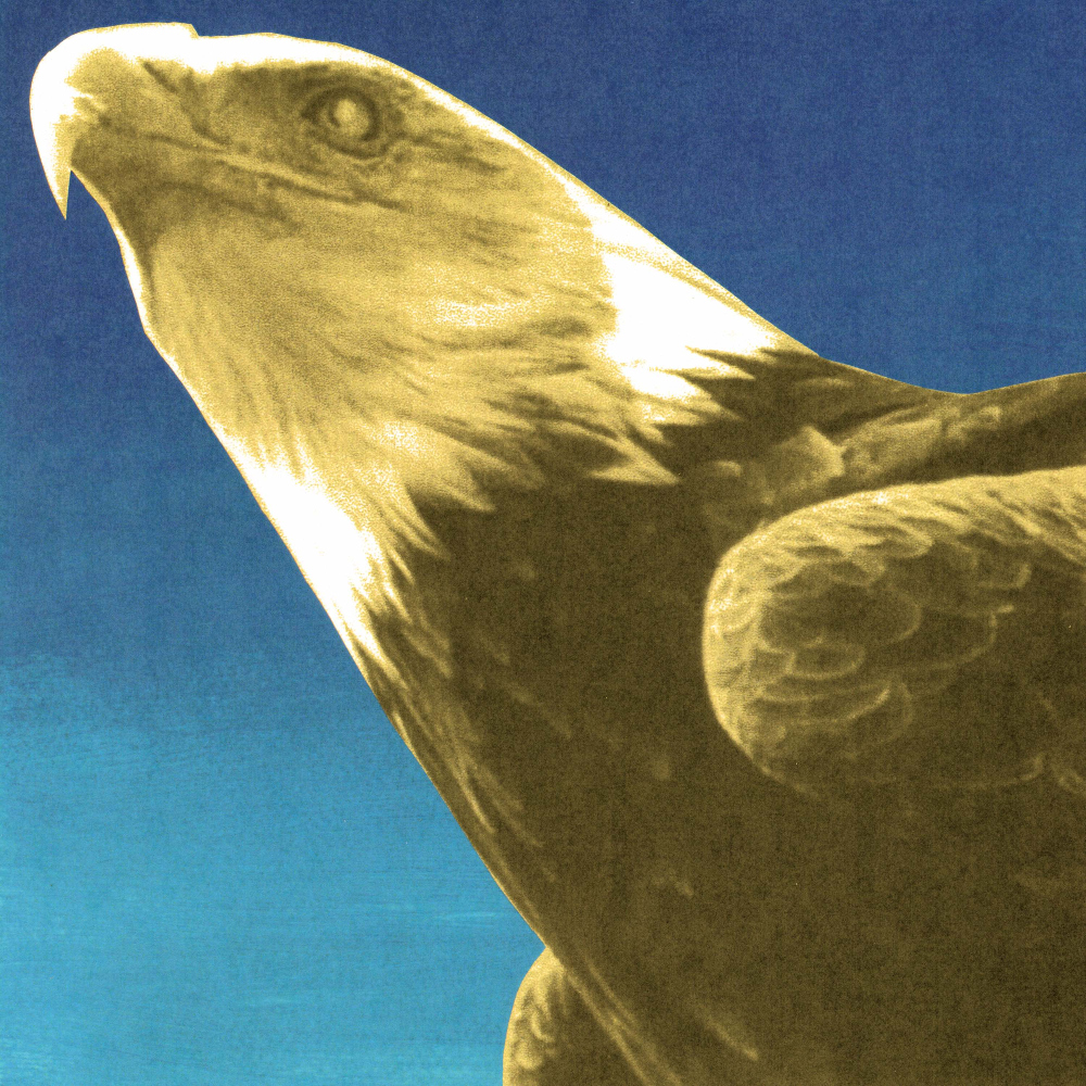 Protomartyr Drops New Album Hotel Usona With Fresh Single