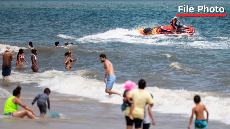 Shark Apparently Confused New Yorker for Lunch