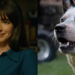 Anne Hathaway Wants R Rating For Films Featuring Dog Deaths