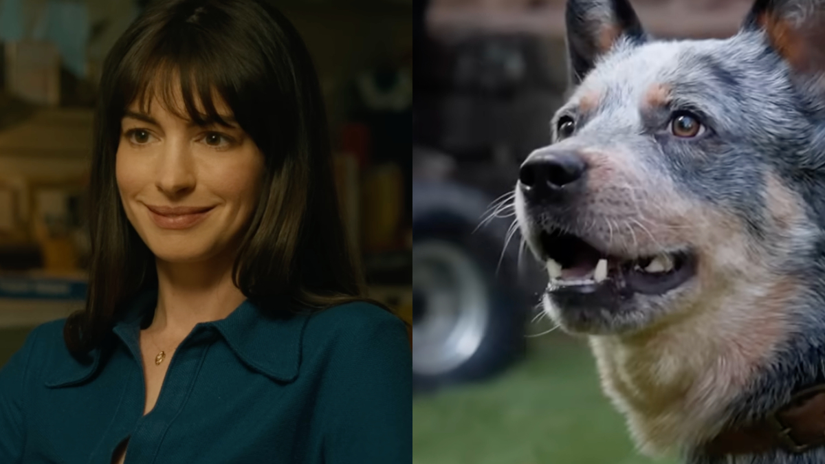 Anne Hathaway Wants R Rating For Films Featuring Dog Deaths