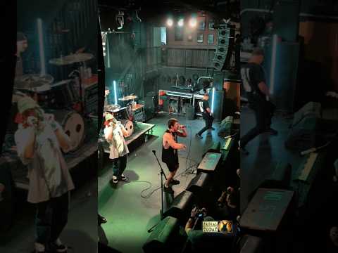 Laniidae in Charlotte, NC (08/01/2026)