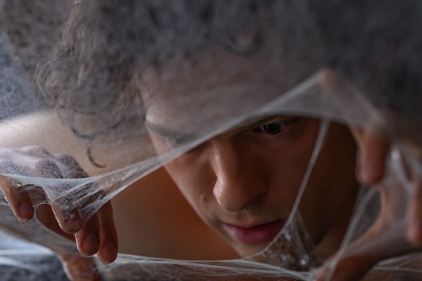 Spider-Man Breaks Box Office Records Again Because Of Course It Does