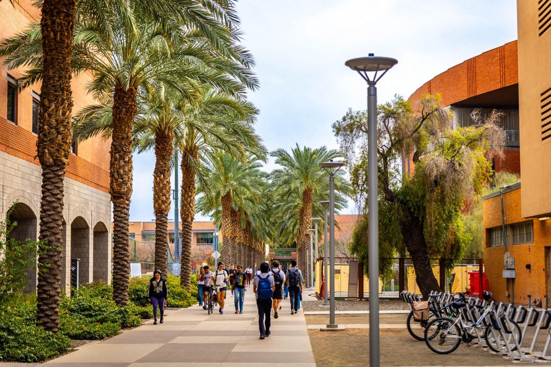 Universities cash in on students’ desperate quest for online fame