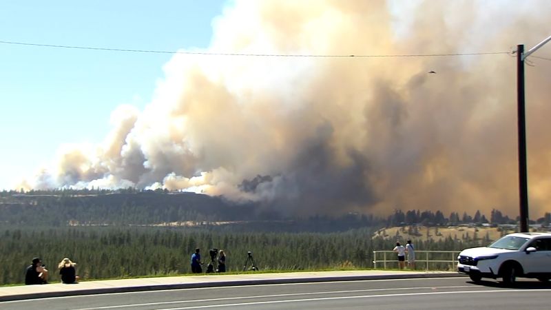 Washington Residents Get Free Barbecue Courtesy of Wildfire Season