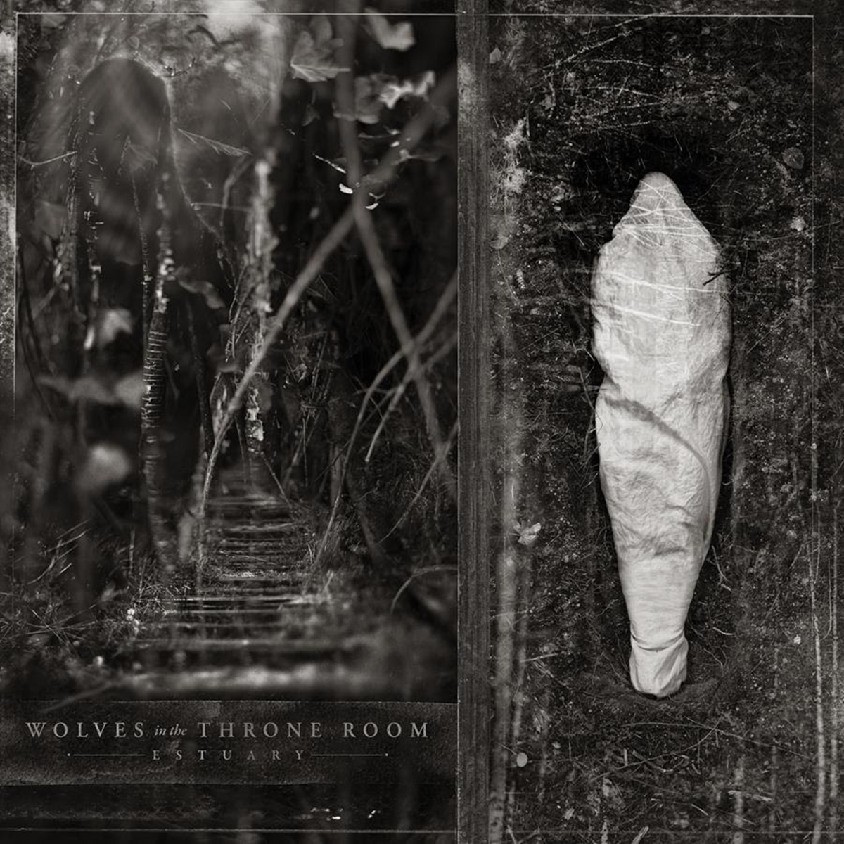 Wolves In The Throne Room Drops New Album And Single Today