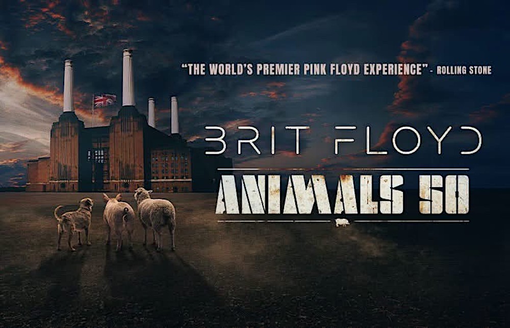 Brit Floyd Launches 2027 Animals 50 North American Tour