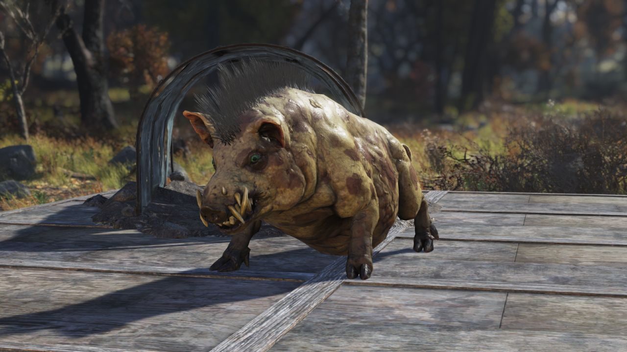 Fallout 76 now lets you buy friendship with overpriced digital dogs