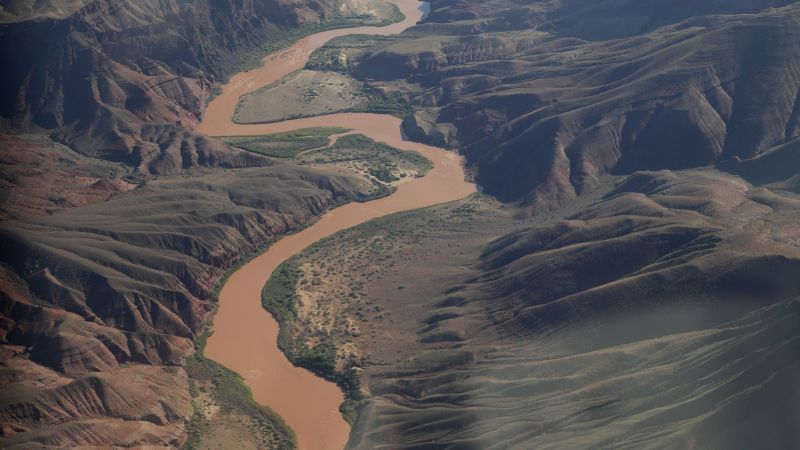 Grand Canyon Now Has Free Fossil Exhibit Courtesy of Nature