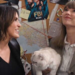Taylor Swift Crashes Emmys Law And Order Sketch With Feline Friend