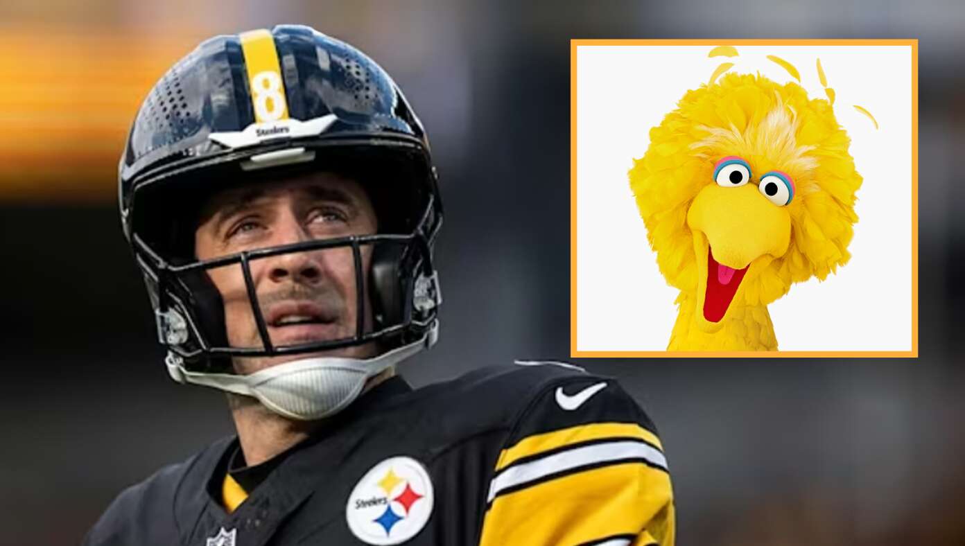 Aaron Rodgers Gives Up Ayahuasca After Getting Sacked By Big Bird