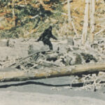 Bigfoot Footage Exposed as Fake in New Documentary