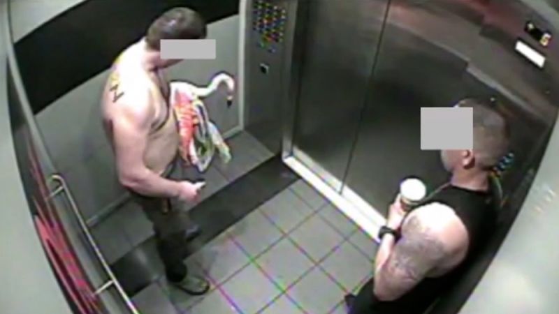 Flamingo Thief Found Guilty Because That Was Obviously Going To Happen