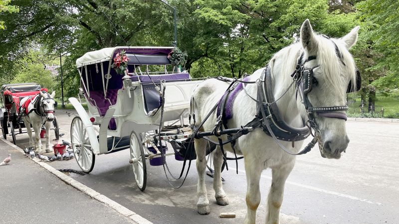 Horse-Drawn Carriages Finally Giving Up On NYC Traffic