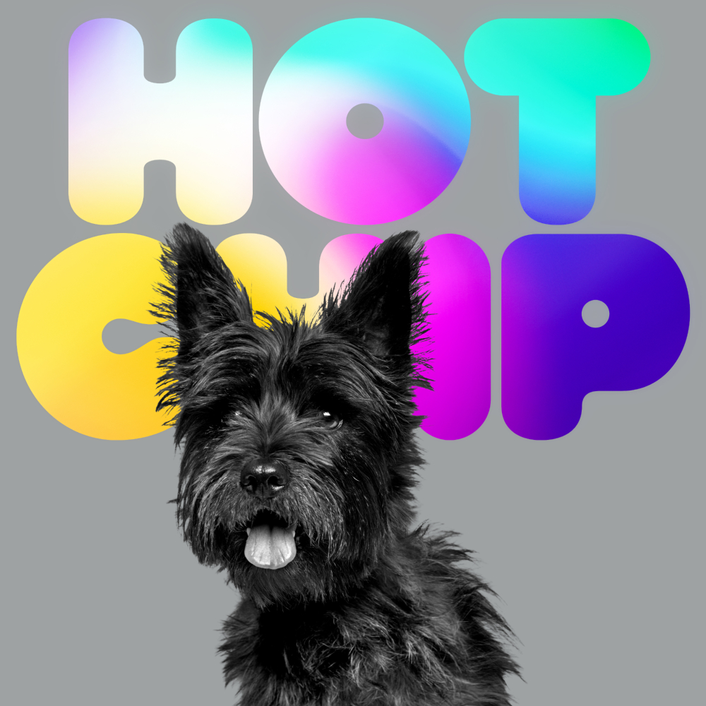 Hot Chip Drops New Album And Single Random Violence Now