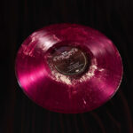 Mastodon Drops Marrow Deep Vinyl with Actual Fossils Inside