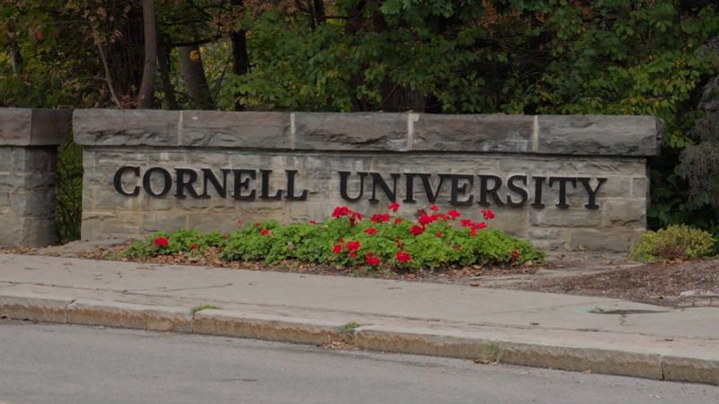 NY Gov Hochul Addresses Cornell Rape Allegations With Straight Face