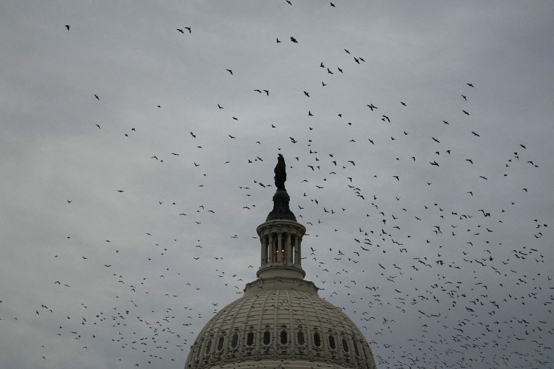 Republicans Just Got Mathematically Served By Voters Apparently