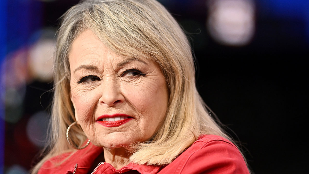 Roseanne Barr Creates New Sitcom Under Wraps