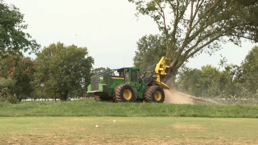 Trump Axes Trees For Golf Course Upgrade Because Ego Is Par
