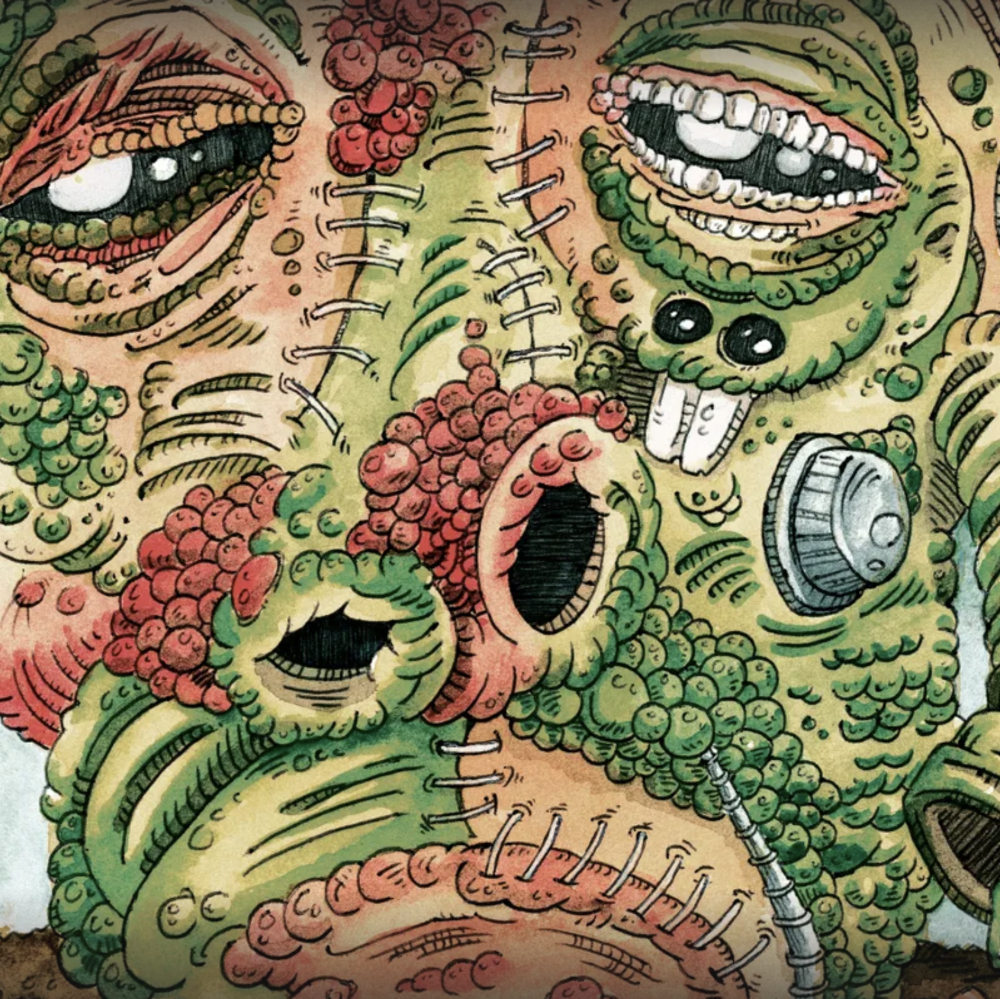 Ween Drops Shinola Vol 2 for Record Store Day Black Friday